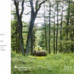 Skulpturenpark Waldfrieden - Tony Cragg